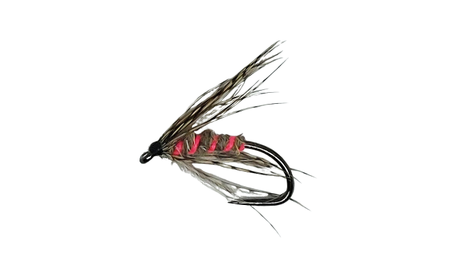 Wet Partridge Fluo Pink Ribbing B/L Wet Partridge Fluo Pink Ribbing B/L, Size 14