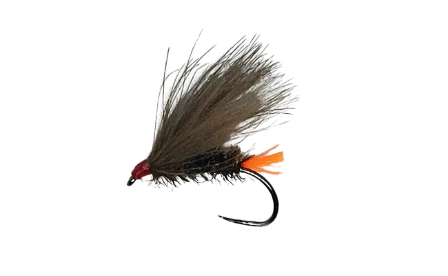CDC Caddis Orange Tag Peacock B/L CDC Caddis Orange Tag Peacock B/L, Size 14