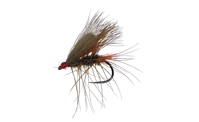 CDC Caddis Palmer Peacock B/L CDC Caddis Palmer Peacock B/L, Size 12