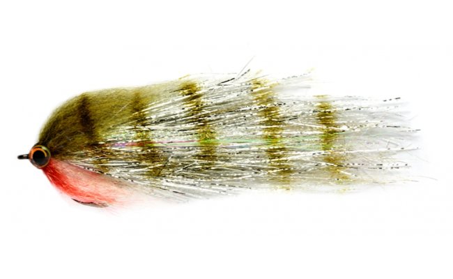 Clydesdale Baby Zander Clydesdale Baby Zander, Size 1/0