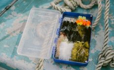Fly Box Fulling Mill Dry Fly & Hopper Box Blue - In Action