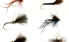 Grab A Pack Stillwater Dry Flies Fulling Mill - Fly Selection