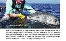 GT - A Flyfisher's Guide To Giant Trevally - Preview The Book