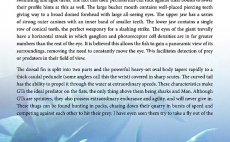 GT - A Flyfisher's Guide To Giant Trevally - Preview The Book