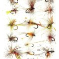 The Dry Fly - Preview The Book