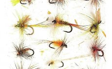 The Dry Fly - Preview The Book