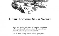 The Dry Fly - Preview The Book