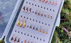 TOP River Perdigones & Slim Tungsten Nymphs - Fly Selection