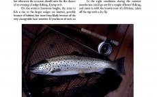Trout From A Boat - Preview The Book