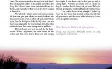 Trout From A Boat - Preview The Book