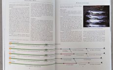 Trout From A Boat - Preview The Book