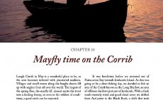 Trout From A Boat - Preview The Book