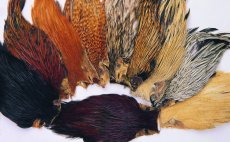 Indian Cock Capes Veniard