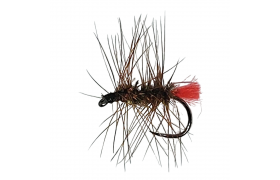 Palmer Red Tag Peacock B/L Palmer Red Tag Peacock B/L, Size 16