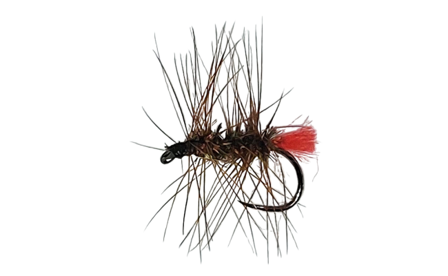 Palmer Red Tag Peacock B/L Palmer Red Tag Peacock B/L, Size 16