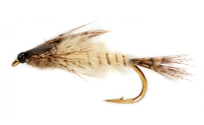 Procter's Active Mayfly Nymph Procter's Active Mayfly Nymph, Size 8