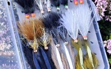 TOP Jigstreamers For Big Trout - Fly Selection