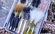TOP Jigstreamers For Big Trout - Fly Selection