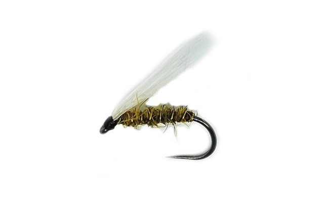 Wet Dun Golden Yellow B/L Wet Dun Golden Yellow B/L, Size 16