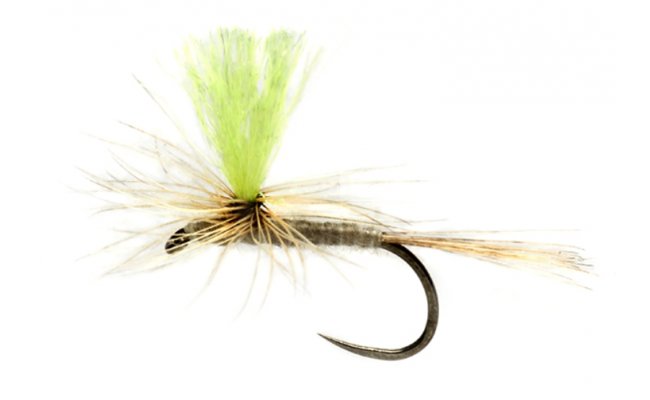 Procter's Hi Vis Para-Duster B/L Procter's Hi Vis Para-Duster B/L, Size 14