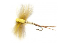Procter's Stillborn Mayfly Procter's Stillborn Mayfly, Size 10
