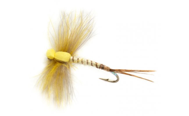 Procter's Stillborn Mayfly Procter's Stillborn Mayfly, Size 10