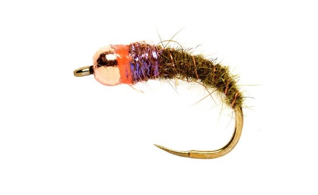 Red Collar Olive Bug B/L Red Collar Olive Bug, Size 12