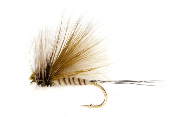 Procter's Active Mayfly Dun Procter's Active Mayfly Dun, Size 10