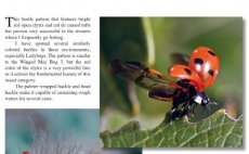 Terrestrials & Co. - Book preview