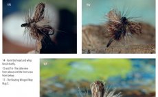 Terrestrials & Co. - Book preview