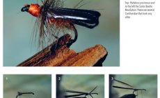 Terrestrials & Co. - Book preview