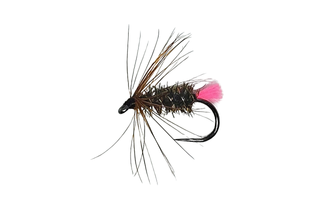 Pink Tag Peacock Bug B/L Pink Tag Peacock Bug B/L, Size 16