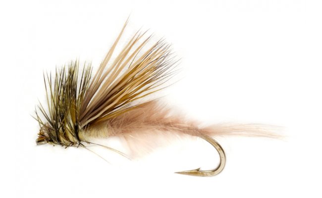 Procter's Active Mayfly Emerger Procter's Active Mayfly Emerger, Size 10