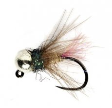 Roza's Violet Jig B/L