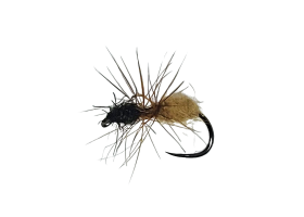 Two-Tone Ant Black & Cream B/L Two-Tone Ant Black & Cream B/L, Size 16