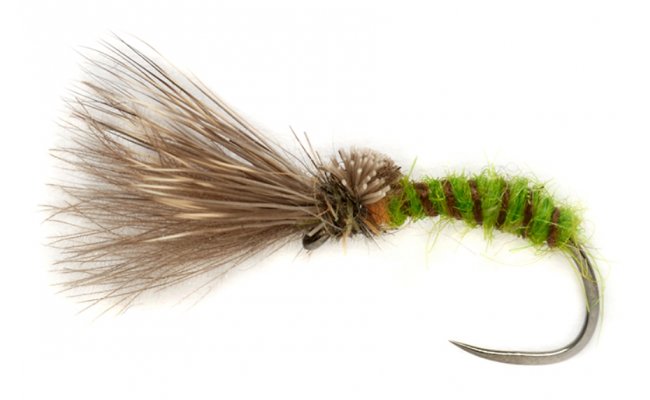 Procter's Caddis Emerger Green B/L Procter's Caddis Emerger Green B/L, Size 14