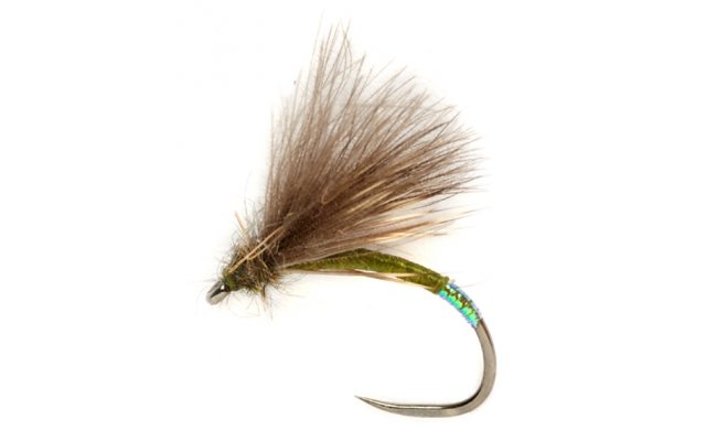 Procter's Cul D Canon B/L Procter's Cul D Canon B/L, Size 14