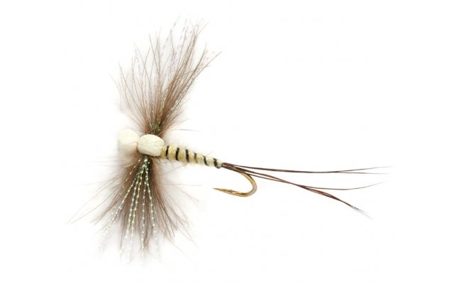 Procter's Twinkle Wing Spinner Procter's Twinkle Wing Spinner, Size 10