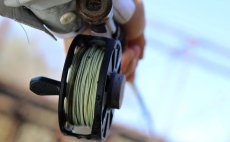 Fly Line Euro Nymph Braid Core Cortland EURO NYMPH SERIES