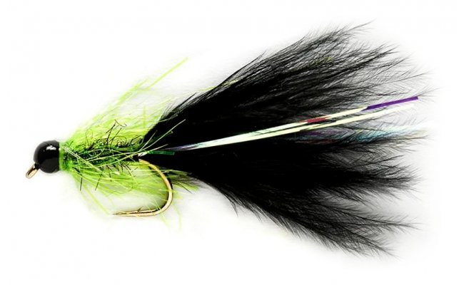 KJ Krystal Black Cat Taddy TH KJ Krystal Black Cat Taddy TH, Size 10