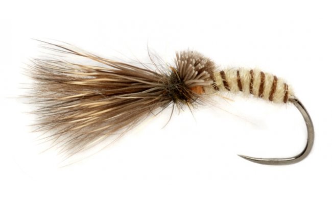 Procter's Caddis Emerger Cream B/L Procter's Caddis Emerger Cream B/L, Size 14