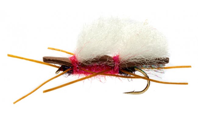 Chubby Royal Raspberry Chubby Royal Raspberry, Size 6