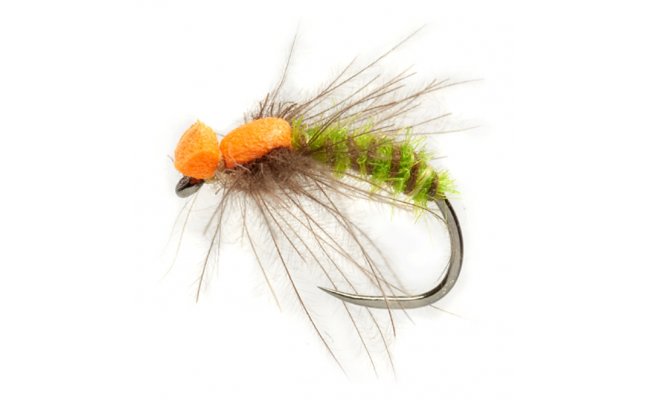 Procter's Spent Caddis Green & Orange B/L Procter's Spent Caddis Green & Orange B/L, Size 14