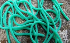 Squirmy Legs FlyBox - Green