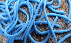 Squirmy Legs FlyBox - Blue