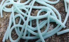 Squirmy Legs FlyBox - Bubblegum Glow