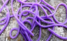 Squirmy Legs FlyBox - Purple