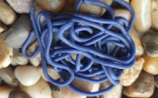 Squirmy Legs FlyBox - Stealth