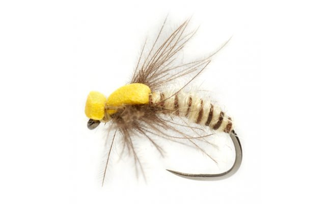 Procter's Spent Caddis Cream & Yellow B/L Procter's Spent Caddis Cream & Yellow B/L, Size 14