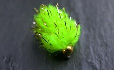 Chenille FlyBox Gold Fleck Eggstasy - Fluo Chartreuse